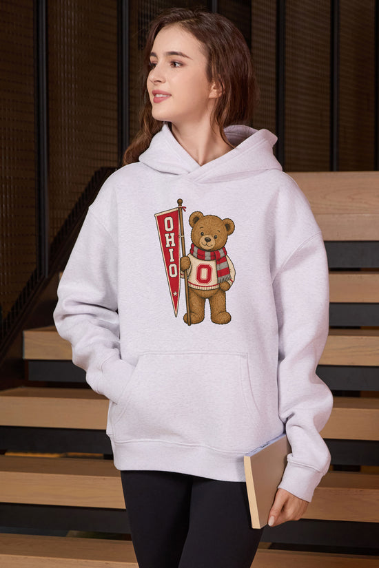 Ohio Teddy Banner Hoodie in heather grey — model view 3.